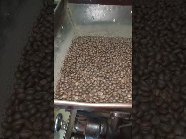 How To make Natural Coffee Powder | Siva Arun Tv