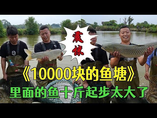 花10000塊包下八年的老魚塘，裏面的魚十斤起步太大了 #包塘 #護外 #鄉村生活 #小飛哥#抓魚vlog