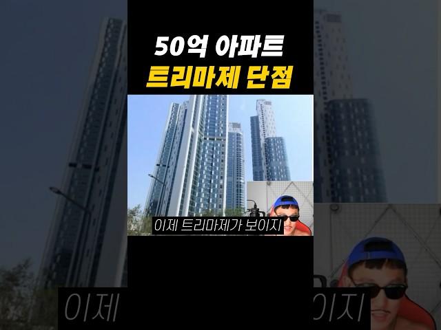 50억 한강뷰 아파트 트리마제 단점