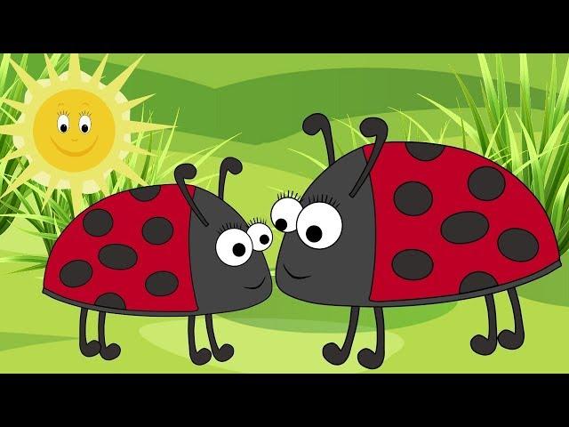 Ladybird Ladybird, Fly Away Home! Nursery Rhyme for Babies and Toddlers from Sing and Learn