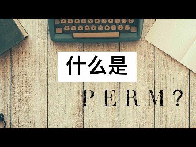 什么是PERM？