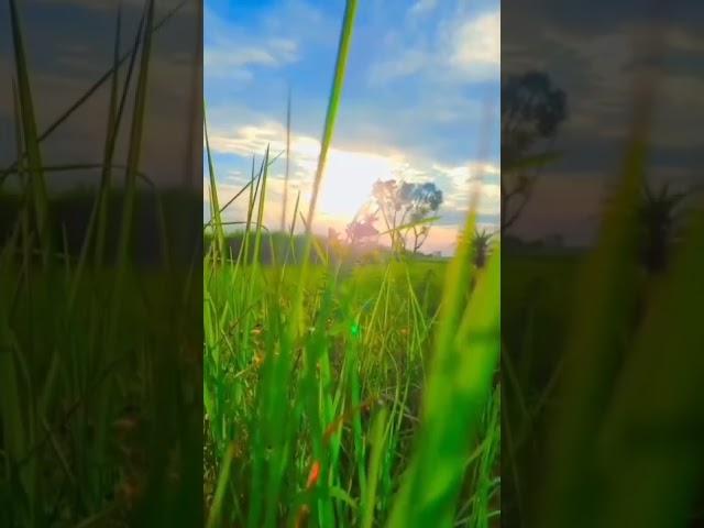 butifull seen.       https://youtu.be/TkM6CvzAnFQ