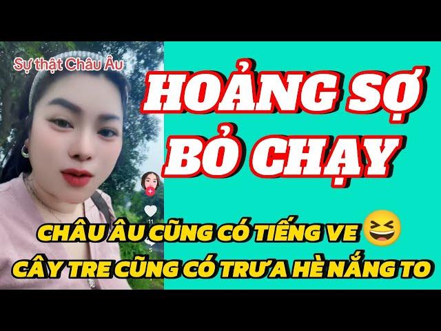 HOÀNG KIM DUNG trốn khỏi Nơi Cư Trú sau khi bị phát hiện