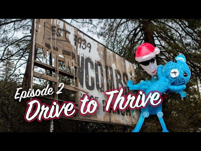 Exposure Therapy - Ep 2 Drive to Thrive