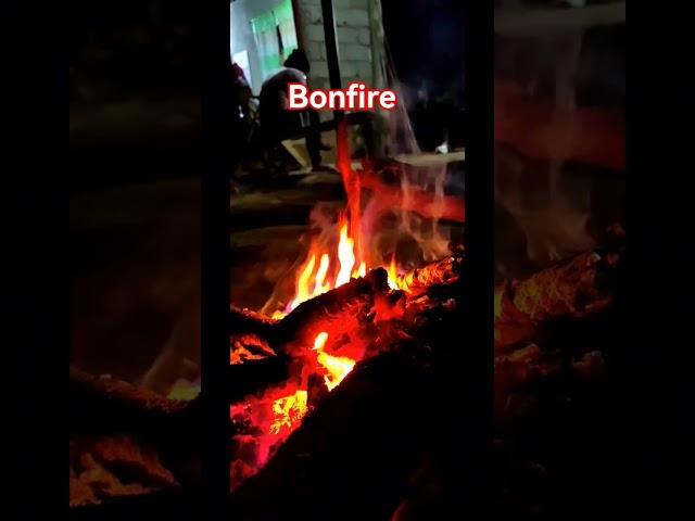 bonfire #entertainment #