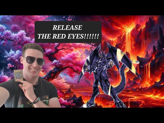 My Yu-Gi-Oh! Red Eyes Black Dragon Deck Profile (November 2024) RELEASE THE RED EYES!!!!!!!