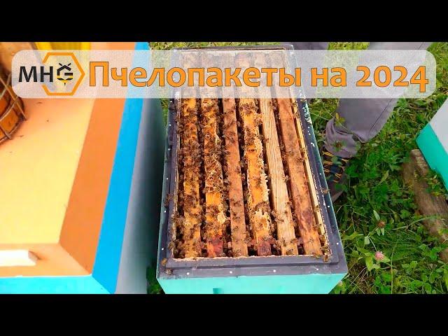 Какие будем продавать пчелопакеты в 2024 году. Успей заказать!