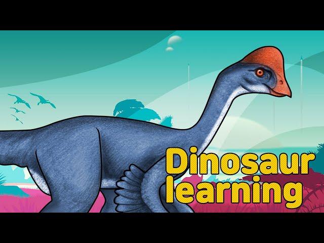 Dinosaur Chirostenotes Collection | What is this dinosaur? | carnivorous dinosaur  | 공룡 키로스테노테스