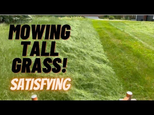 Mowing 10 Weeks of Growth [Mowing Tall Grass | Extremely Satisfying]