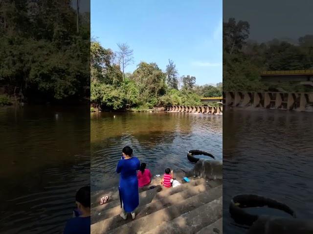 You are sure to be purified️if you take a dip in this water! #kukkesubramanya #karnataka #holy