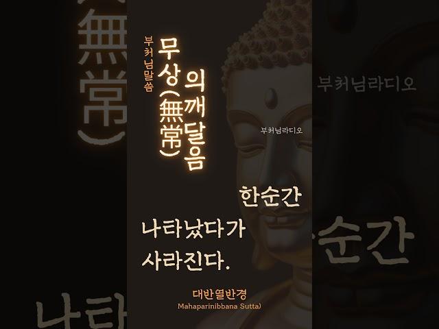 부처님말씀 무상의깨달음