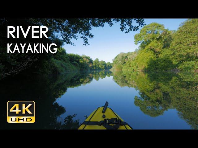 4K River Kayaking - Birds Singing - Water Sounds - Paddling a Canoe Relaxing Nature Video - NO LOOP