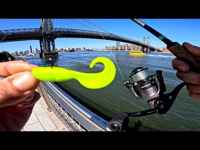 East River Fishing. Exploring NYC Piers