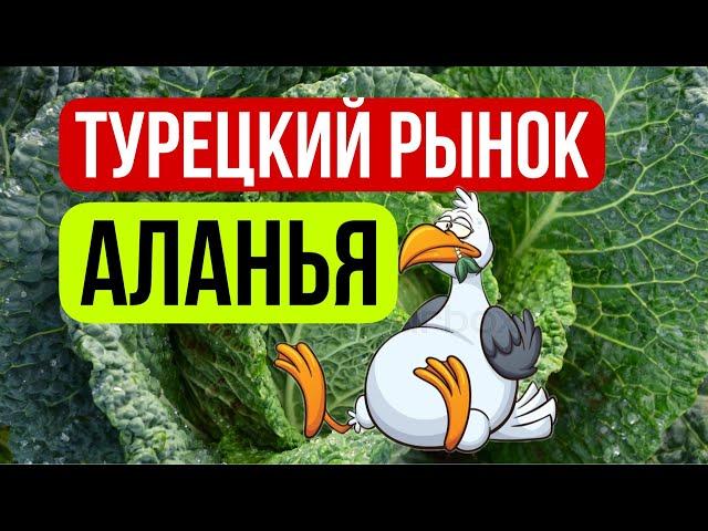 Аланья рынок. Цены на продукты в Турции