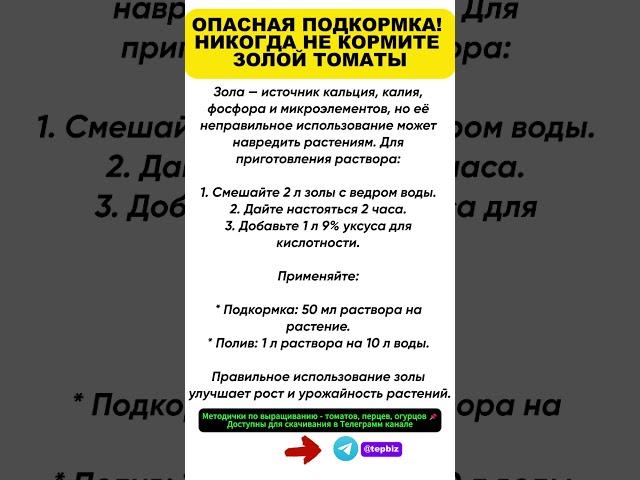 ОПАСНАЯ ПОДКОРМКА! НИКОГДА НЕ КОРМИТЕ ЗОЛОЙ ТОМАТЫ, если не знаете про этот способ.