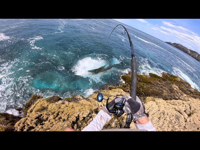 3 Days Solo Fishing an Amazing ledge