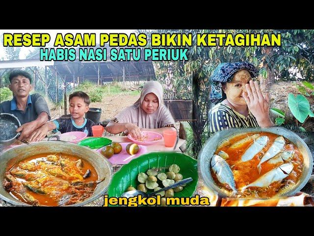 RESEP ASAM PEDAS IKAN GEMBUNG BIKIN KETAGIHAN MAKAN||MEMBERSIHKAN KOLAM DI KEBUN