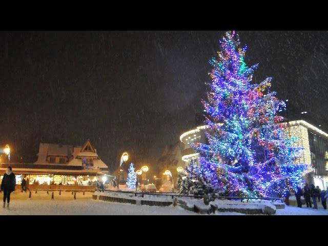 Christmas tree in snow in Zakopane, Poland