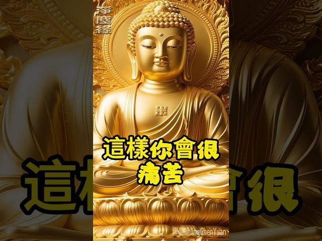 包容是修行，也是生活的解藥#佛教#佛家#佛法#佛學知識#佛學智慧#修心修行#佛教文化#禪意#南無阿彌陀佛