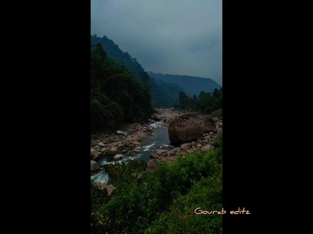 travel  dooars️,,, #pahad  #forest #minivlog #shortvideo #travel #jaldapara