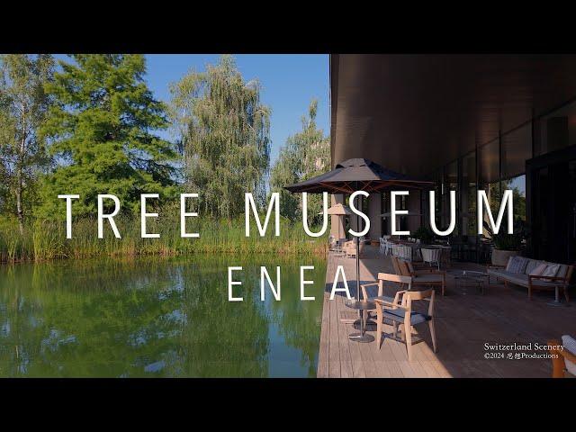 Enea Tree Museum St. Gallen SWITZERLAND スイス