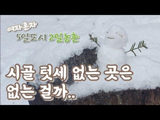 1인가구브이로그// 시골텃세 없는곳은 없는걸까.../진흙탕싸움 황당한얘기/그래도멋진산골설경