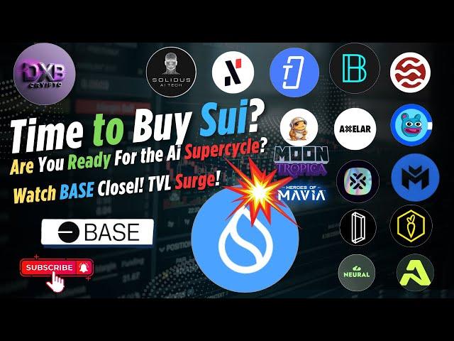  Load Up on Sui NOW! Base Projects Surge, AI Supercycle Ignites, Election Dump Ahead? 