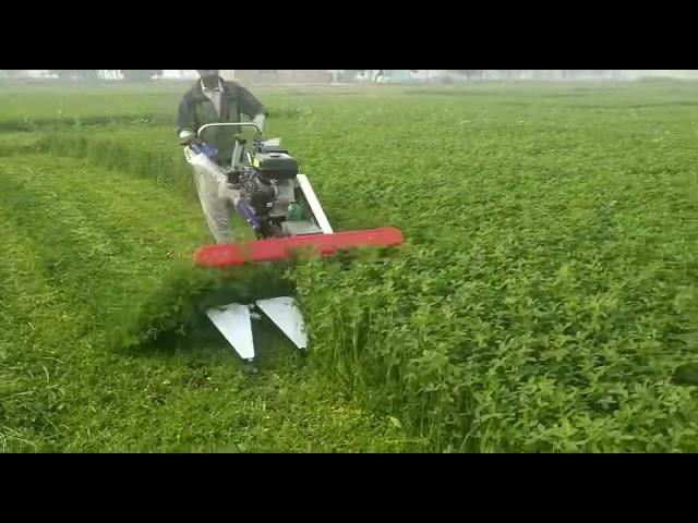 Berseem Reaper || Agro Power Machinery Store Lahore