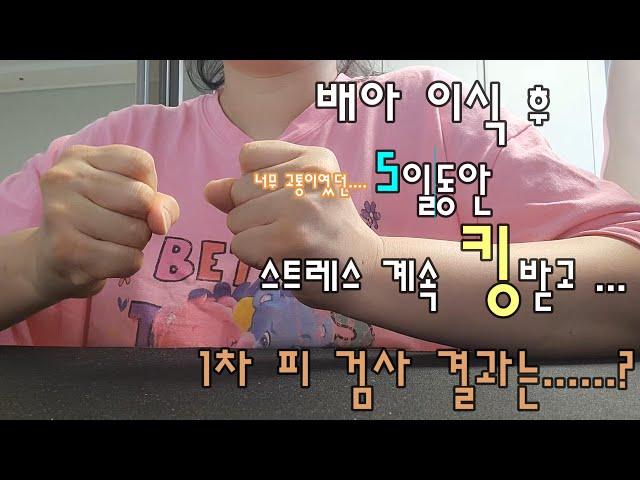 시험관 브이로그 ㅣ생각보다 멘탈 강은 아니였네.... l 1차 피 검사 ㅣ 배아이식 후 무증상 ㅣ 난임일기