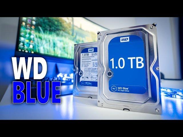 Why are WD Blue HDD's so popular? Western Digital Blue 1TB Review