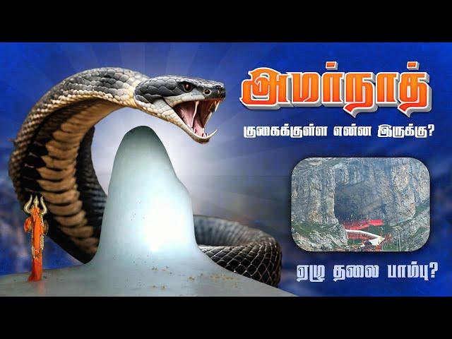 ஏழு தலை பாம்பா? அமர்நாத் பயணம் PART 2 - 2024 | AMARNATH YATRA | AMARRNATH Trip Vlog