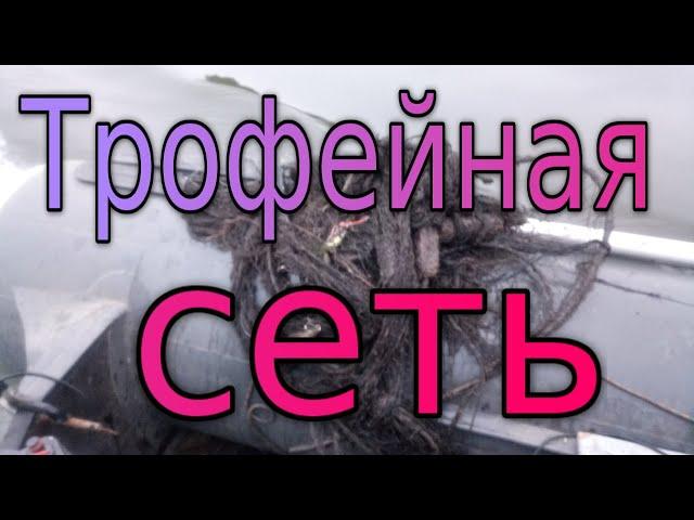 Первая щука жены! Достали сеть с трофеями!