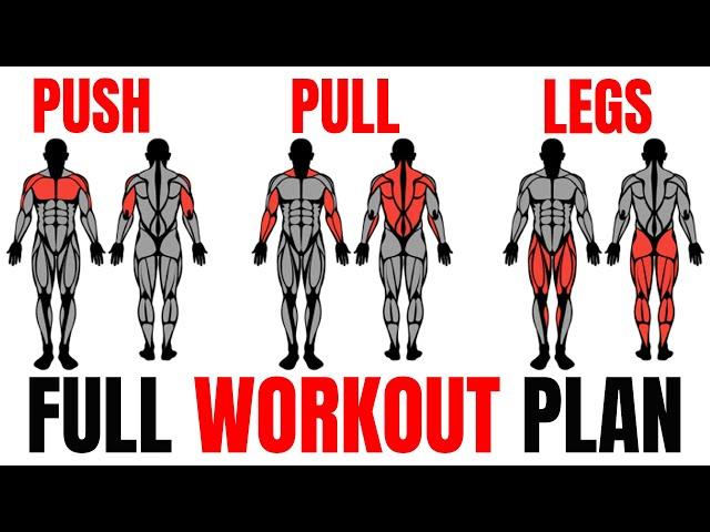 The Smartest Push Pull Legs Routine (Fully Explained)