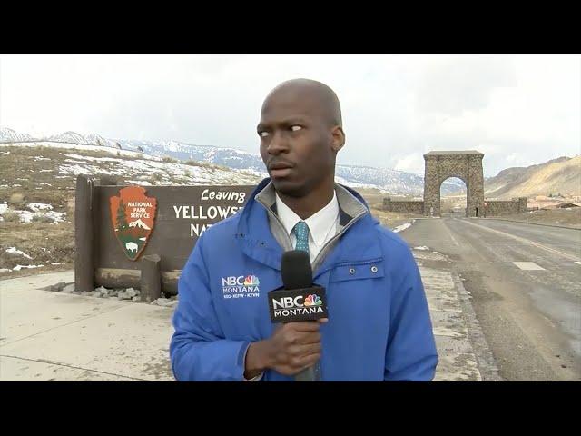 'I ain't messing with you': Reporter flees after spotting herd of bison I ABC7