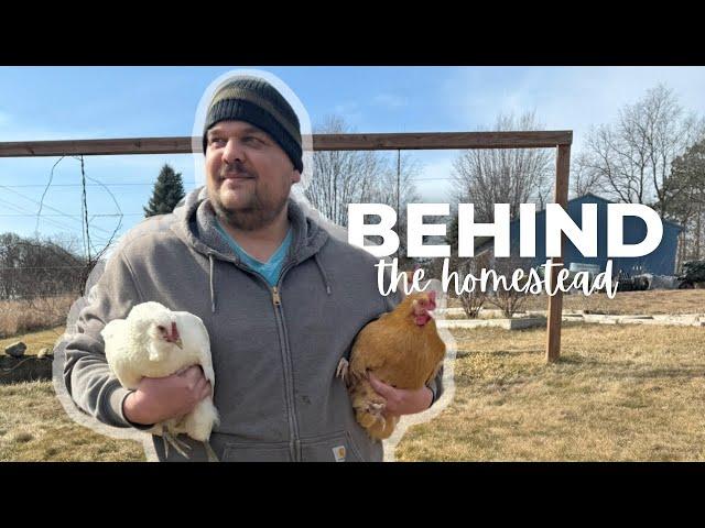 He digs; I cook: Behind the Homestead