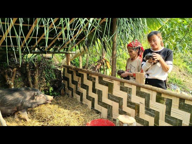 FULL VIDEO: 45 Days Build farm animals pigs, chicken, ducks and gardening