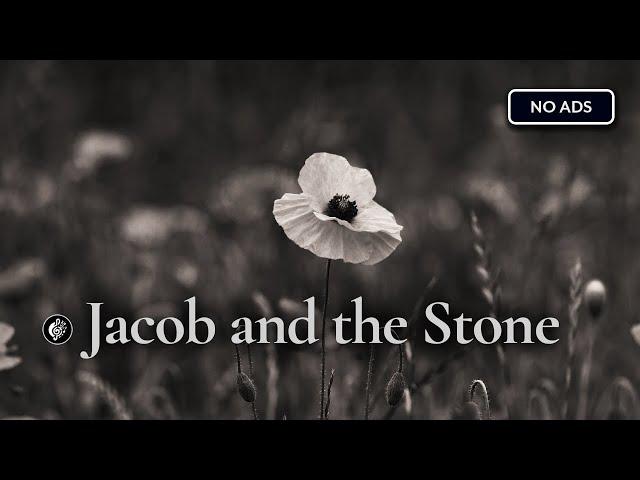 Jacob and the Stone | slowed | Emile Mosseri - 2-hour Version with Rain ️