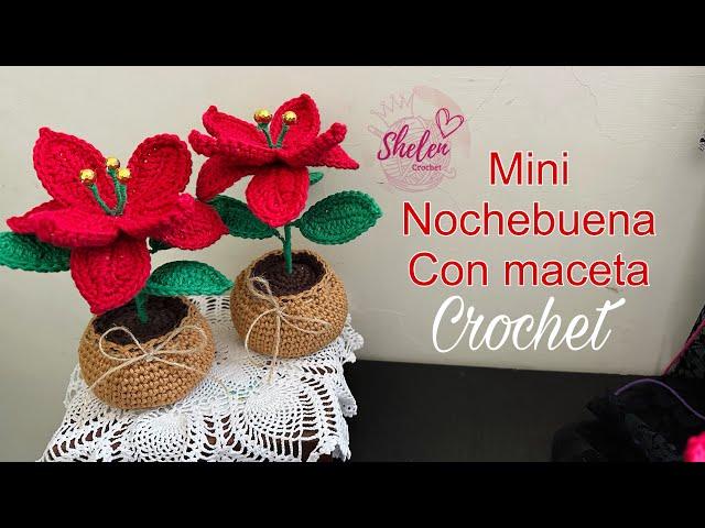 Mini nochebuena en maceta🪴🪅CROCHET #nochebuena #flordenavidad#pascua,#flordepascua,#poncetia