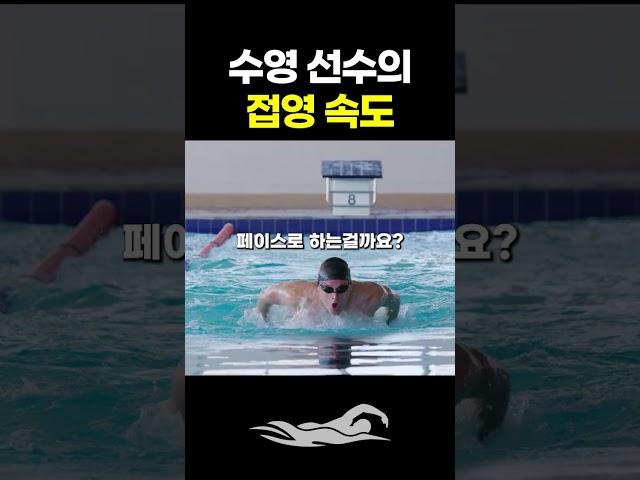 수영 선수 접영 속도