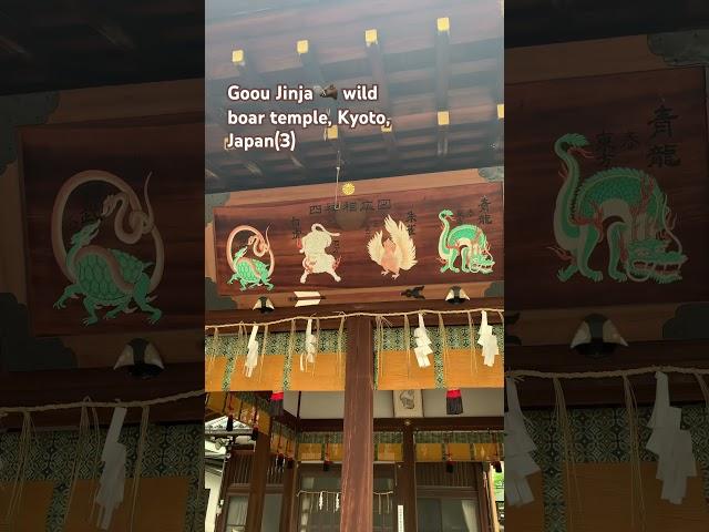 Goou Jinja  wild boar temple, Kyoto, Japan #japan #travel #kyoto #gooujinja #wildboar