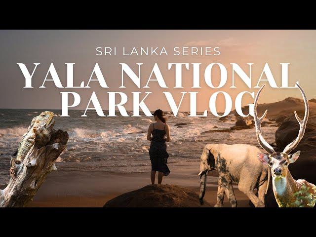 SRI LANKA SAFARI VLOG | An epic experience in Yala National Park