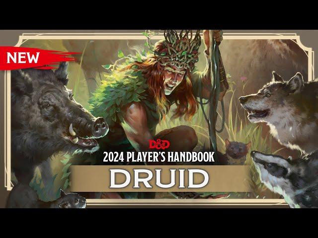 New Druid | 2024 Player's Handbook | D&D