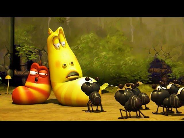 ANTS | LARVA | Cartoons for Kids | WildBrain Blast