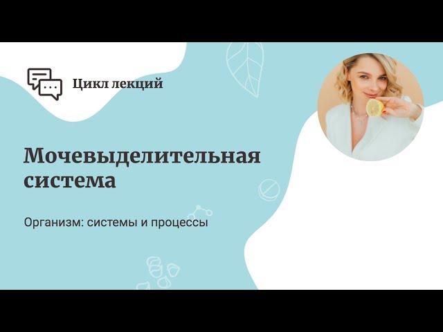 Мочевыделительная система