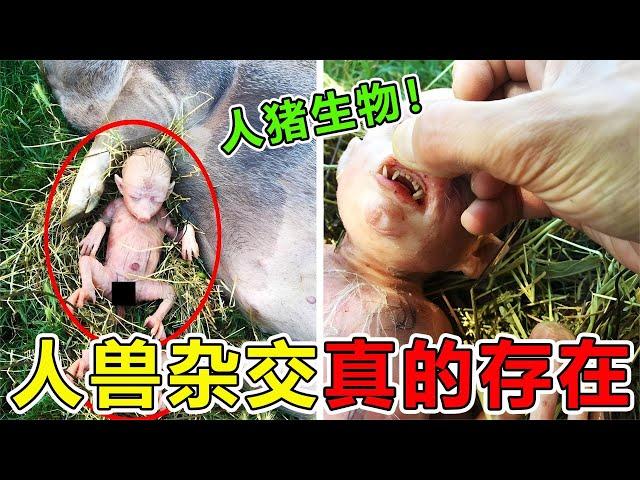 世界上“最恐怖”的10大杂交生物，人兽杂交居然真的存在，彻底吓尿科学家#top10 #科普 #世界之最 #世界之最top #animals #地球之最 #动物