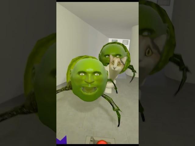 Lin gang melon ate the cameraman P5 #cat #meme #gmod