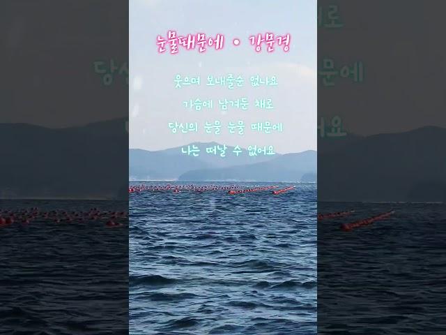 #눈물때문에 #강문경 #현역가왕2