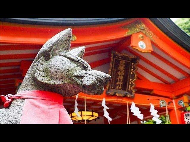 日本香火最旺盛的神社：供奉著狐狸，你想來看看嗎？