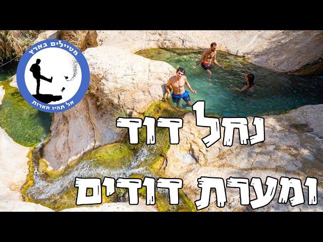 Dudim Cave - Nahal David - Traveling Israel