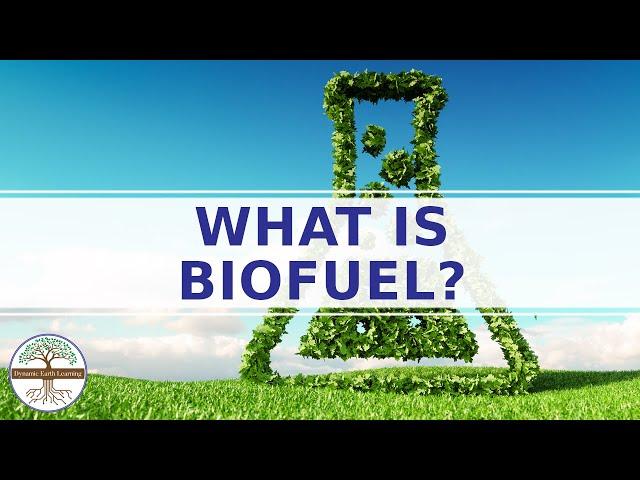 What is Biofuel? - Biomass Science Explainer Video